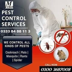 Termite Control | Deemak Control | Pest Control | Fumigation Services