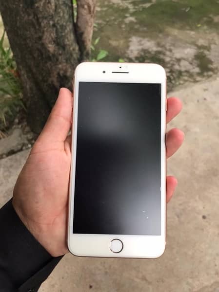 iphone 8plus 256gb pta approved 10/10 2