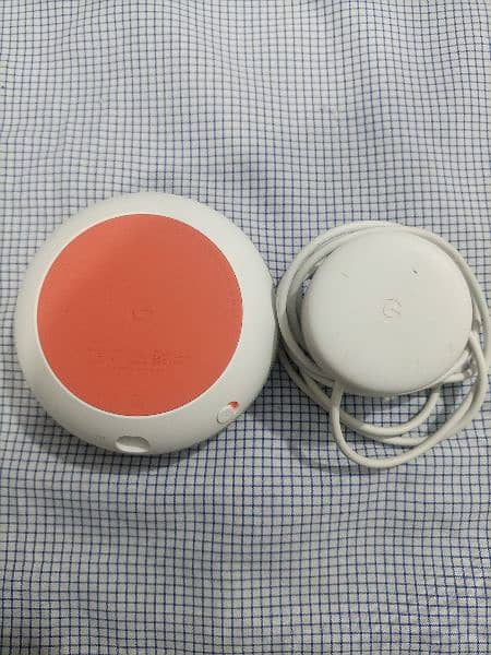 Google Nest Mini Speaker 1