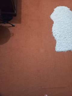 12*14 carpet for Sale