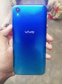 Vivo