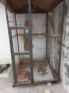 cage for sale