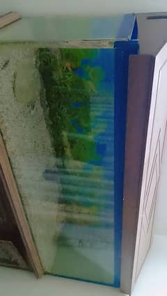 Aquarium for sale