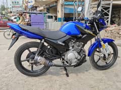 Yamaha YBR 125 2019