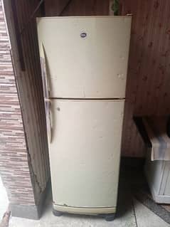 Pel large fridge for sale