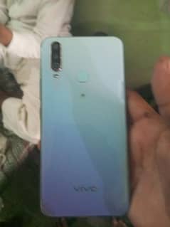 vivo