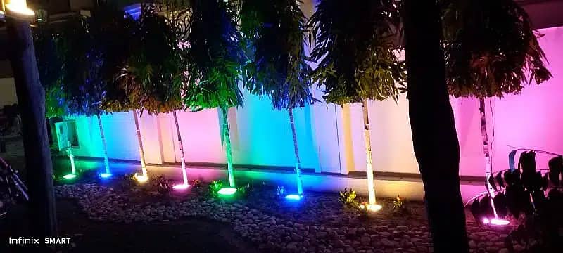 Led Pixel light/Wedding Lights/House Light/Building Light/Light Decor 10