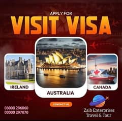 USA,UK, CANADA AUSTRALIA NEW ZEALAND KOREA JAPAN, TURKE VISA AVAILABLE