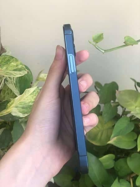 iphone 12 pro non pta 1