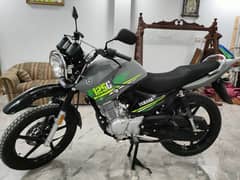 Yamaha ybr 125 G 2023