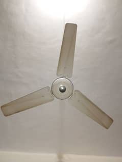 Pak fan ceiling fan