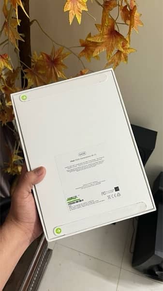 iPad 10th gen (NEW) 1