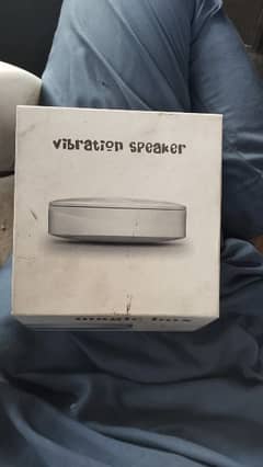 Portable speaker