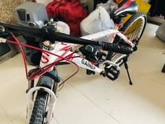 GAINER S imported sports cycle