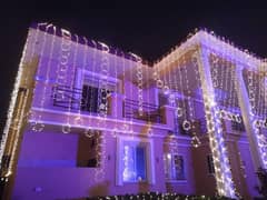 Farm House Wedding/Event planner/Led Pixel Light/lighting/flower decor