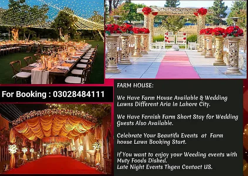 Farm House Wedding/Event planner/Led Pixel Light/lighting/flower decor 4