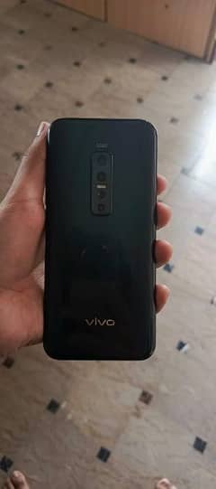 VIVO