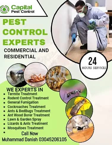 Termite Control/Dengue control /Fumigation services/Pest control servi 0