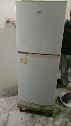 PEL Refrigerator