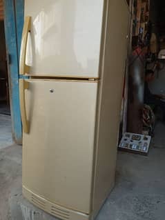 PEL Refrigerator