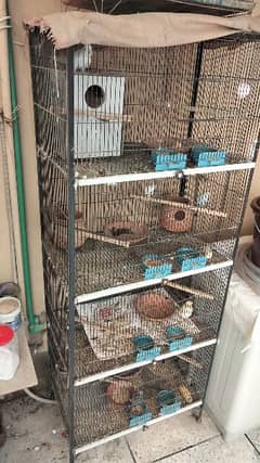 Birds Cage Solid 6.5ft