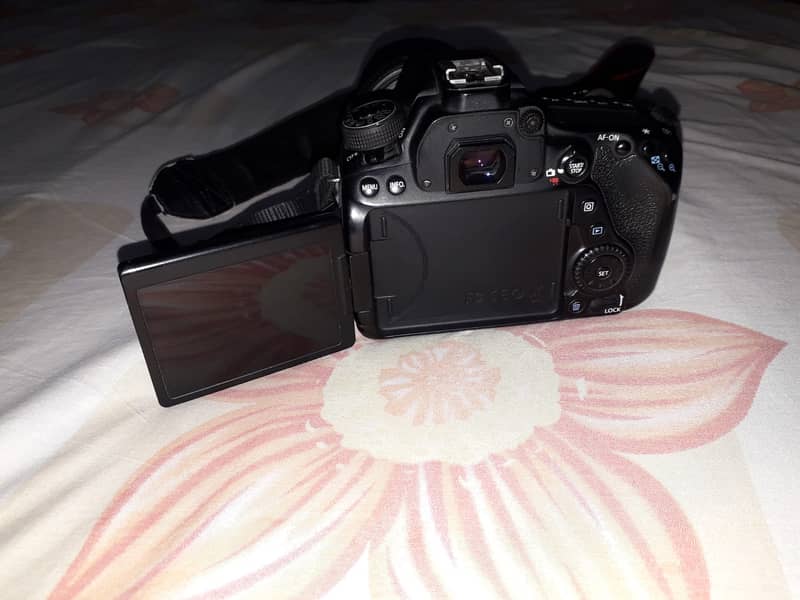 Canon 80D with Sigma 17-50mm lens 0