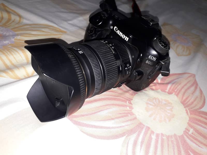 Canon 80D with Sigma 17-50mm lens 2