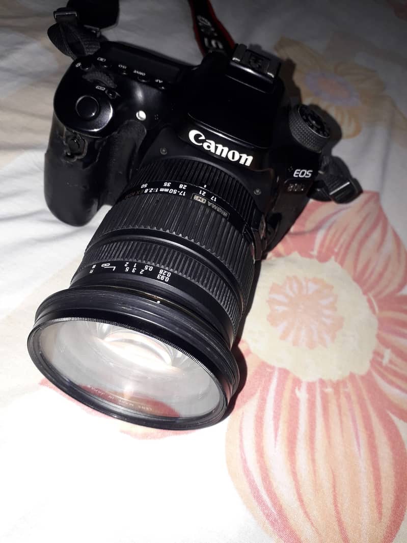 Canon 80D with Sigma 17-50mm lens 4