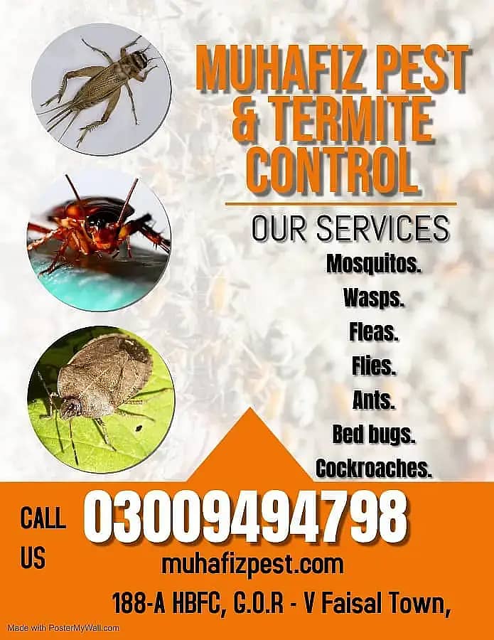 Termite Control, Fumigation Spray, Deemak Control, Pest Control 0