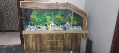 6 feet big aquarium. . . . urgent sale