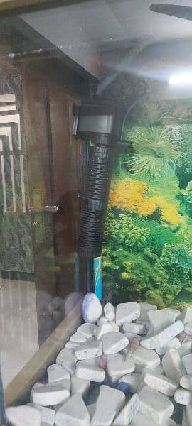 6 feet big aquarium . . urgent sale 1