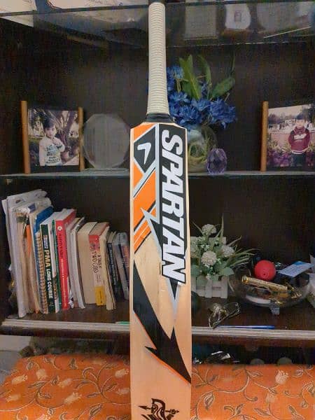 spartan cricket bat 2