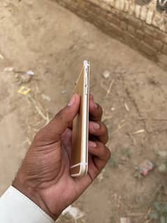 iphone 6s 32 gb pta approved .