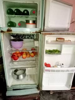 Singer Refrigerator