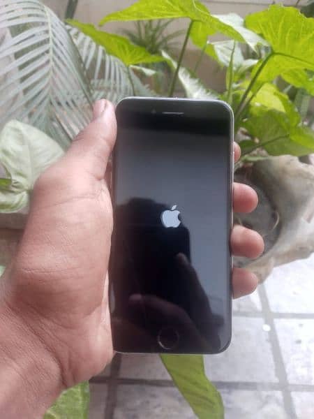 I phone 6s 16gb non PTA 0