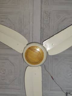 2 Fans urgent sell serious buyer contact me