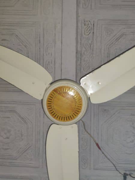 2 Fans urgent sell serious buyer contact me 0