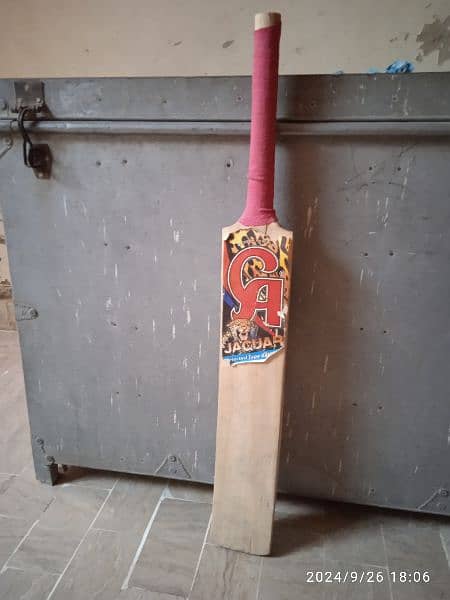 CRICKET BAT 0