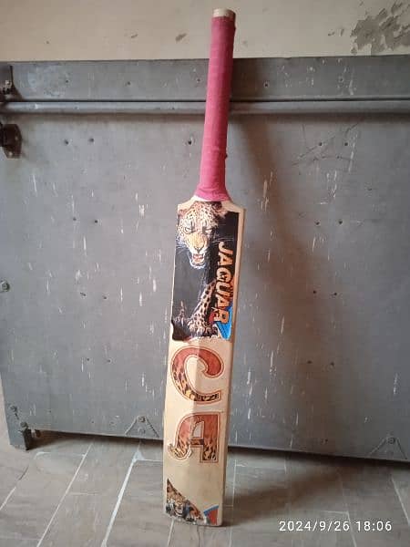 CRICKET BAT 1