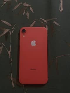 Iphone xr 64 Gb Jv