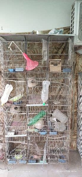 cages for birds. java love bird finch gouldian 1