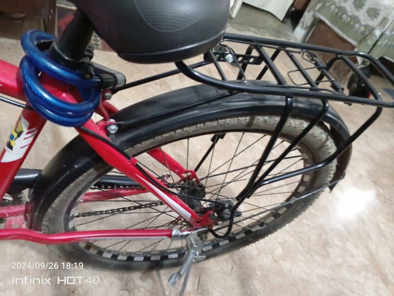 Bicycle for Sale Imported 3