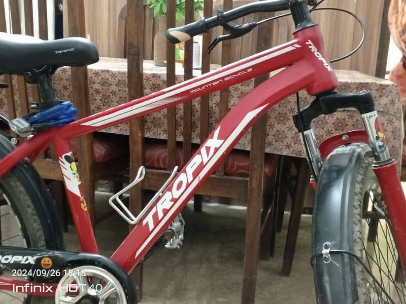 Bicycle for Sale Imported 12