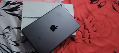 ipad mini 5