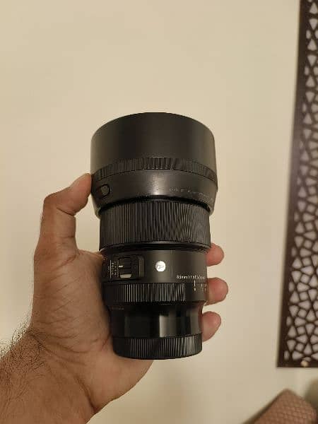 Sigma 85mm F1.4 DG DN Art Lumix L Mount 10