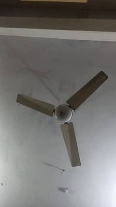 ceiling fan