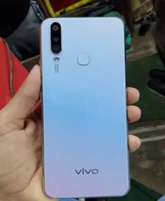 vivo