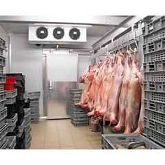 cold storage/blaster/chiller room, Quick freezer/Reefer container,