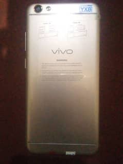 vivo