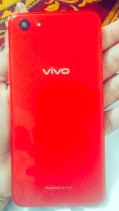 vivo